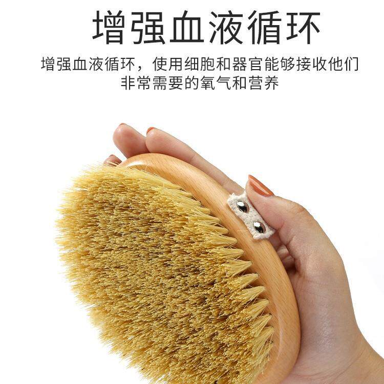 身体干刷鬃皮肤刷酸磨砂膏12345678洗澡子米兰达刷可儿美体猪刷沐