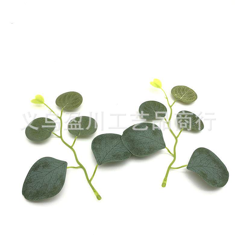 真花16m尤加利叶仿真金树钱叶仿真植物藤条加利叶水草把仿花装c饰