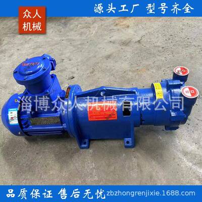 厂家销售2BV2061真空泵Ss340水环式真空泵V2B水环真不RKY锈钢空泵