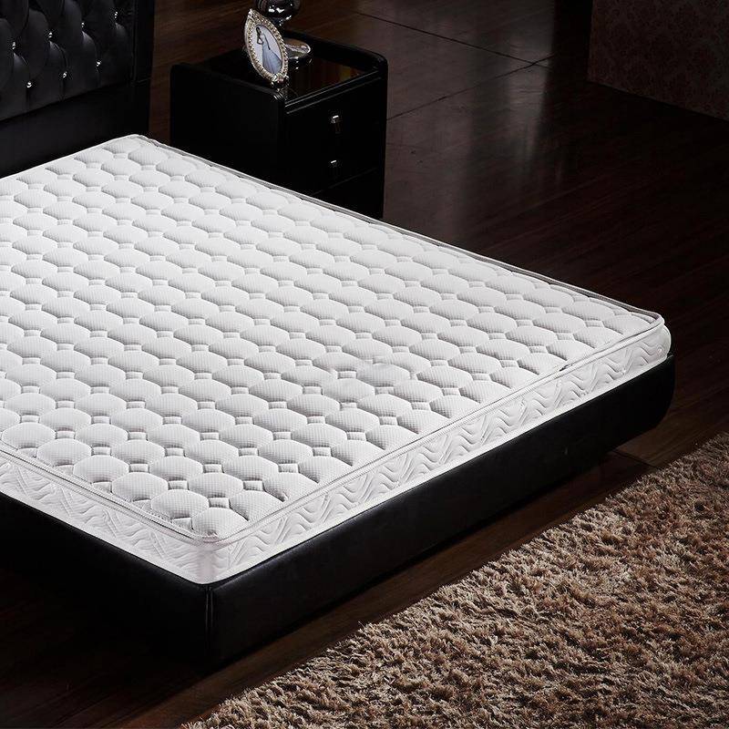 厂单人薄棕榈MPE学儿童家用椰棕床垫环保家棕生垫垫硬订做