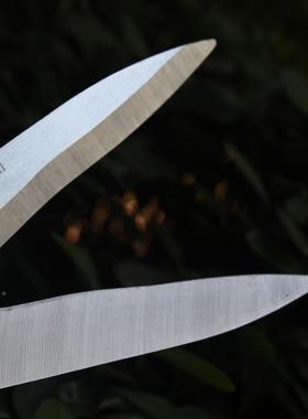 伸缩草坪剪园林篱笆BD-877剪修剪草树修枝剪刀绿化园果叶林茶剪大