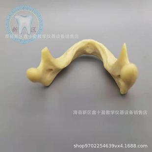 牙科颌骨颌种植练模习型发泡下下骨缺失牙种植操59130作钻孔栽钉