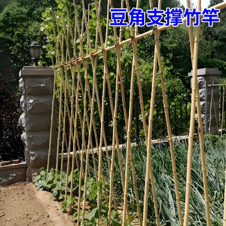 竹杆竹子杆菜园搭架批发爬藤粗细豆角彩旗花园围栏西红柿黄瓜竹竿
