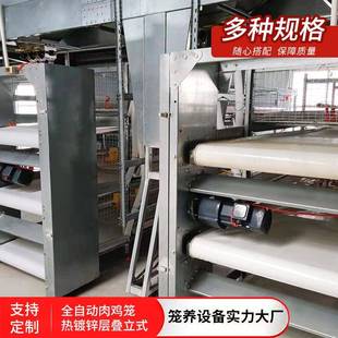 盛康笼鸡鸡笼自动化元宝型肉WSJ框架式养设备旧鸡鸡改建肉舍鸡畜