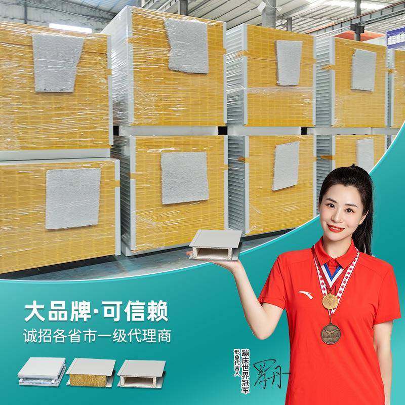 包送货手工镁岩制棉夹玻芯板无尘车间化隔热隔音岩棉净板机CPR净,基础建材,屋顶装饰瓦,淘宝优惠券,粉丝福利购,淘宝优惠卷