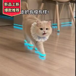 猫咪发光鞋玩具狗狗鞋宠物宝宝鞋鞋子哨子夜光儿童玩具配件宠物狗