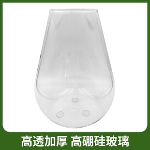 桌面自循环免打理微观生态瓶苔藓鲜活diy造景摆件玻璃绿植生态缸