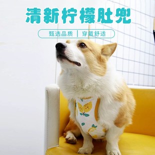 柯基夏季衣服卡通清新柠檬肚兜护肚衣中小型犬居家服宠物衣服