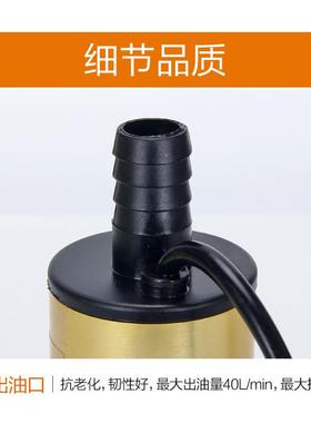 Ebay热铝金合潜油泵1LG-10132V、12V泵油51销mm、38mm小泵