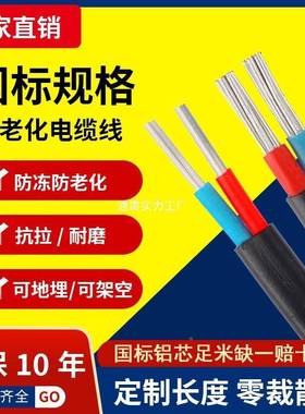 国标2铝芯家用户外电缆线电线461016芯28665平方双芯线铝护套XY