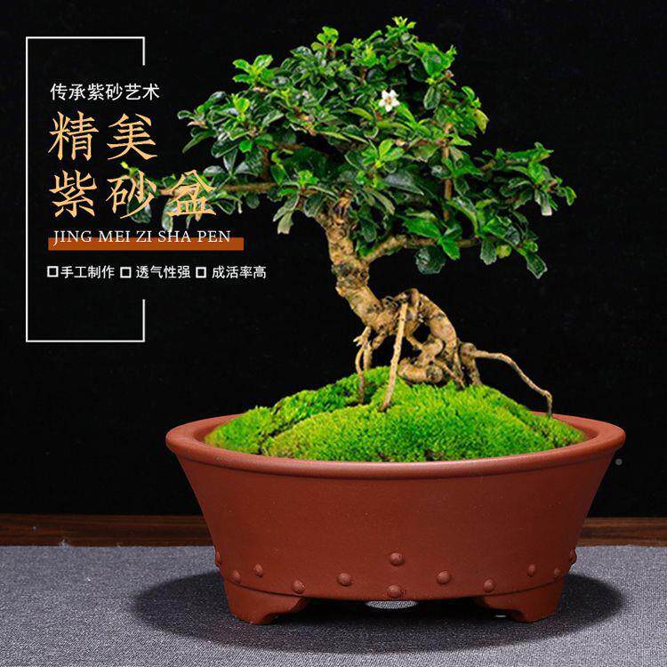 宜紫花盆仿古鼓钉家用XGA陶瓷砂盆景多肉老矮桩种桌面绿植厂兴家