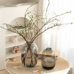 花瓶玻璃透明水养插花大号轻奢高级感客厅雪柳专用家居装饰品摆件