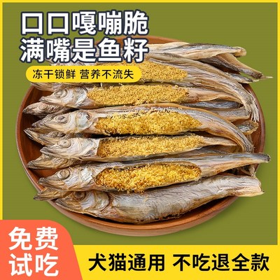哈士奇专用狗零食冻干多春鱼营养增肥发腮补钙满籽小鱼干磨牙成犬