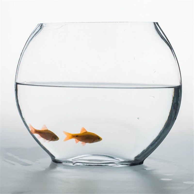 玻璃圆形加厚水培金鱼缸带脚桌面小型迷你乌龟缸圆球水培植物鱼缸,宠物/宠物食品及用品,桌面缸,淘宝优惠券,粉丝福利购,淘宝优惠卷