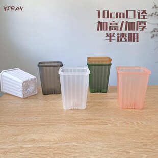 依然园艺暮光10cm口径半透明粉色多肉植物绿植花盆塑料热植蝴蝶兰