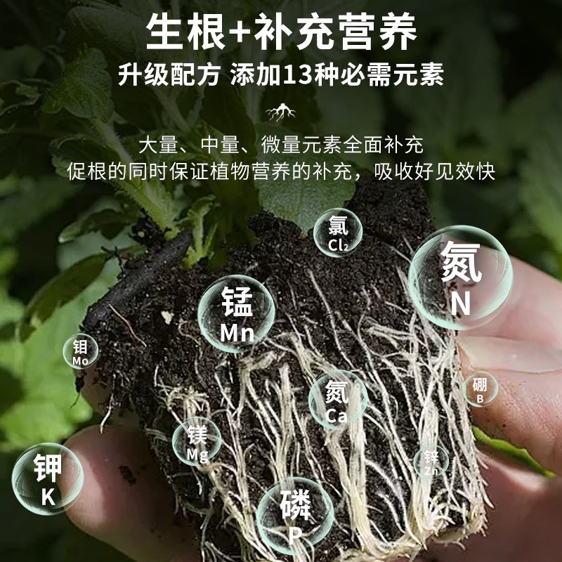 贝可施快速生根粉植物通用多灵菌树木移栽扦插专用通用生根液剂