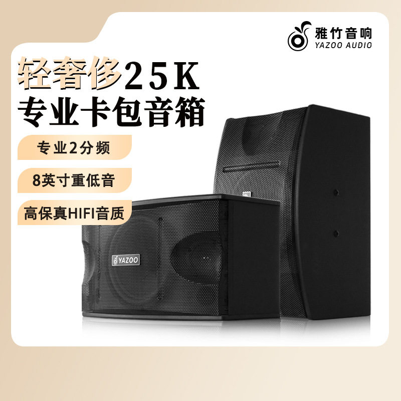 卡拉OK音箱  KTV音箱 会议教学音箱 卡包音箱 电教音箱10寸会议箱