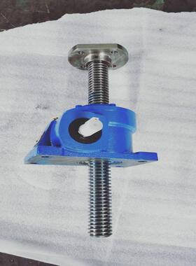 传邦定制TRSS系列升降机 蜗轮丝杆升降机TRSSD150-32-AR-300-B-P