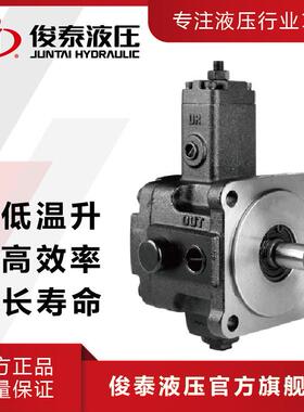 现货台款VP变量叶片泵VP40液压机电设备用油压泵浦