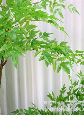 仿真植物天竹落地WHJ盆栽仿生绿植客摆件厅沙家发南边居装饰盆景