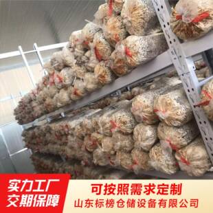 出菇架属角南钢横梁式济标榜出AAP菇金片出菇架蘑网菇出菇房出菇