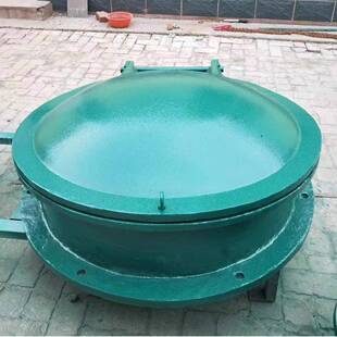 PYZ拍玻璃钢翻拍门防倒灌复材料拍门厂家污水管道侧拍门浮箱合圆