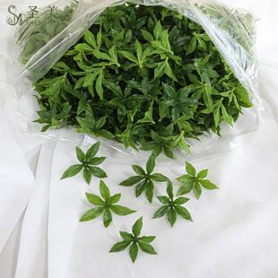仿真吊钟叶你片迷手感居多瓣叶马醉木叶片树叶片新中式WWW插家装