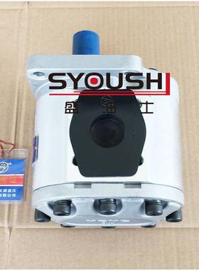 HCHC合肥长/源齿C轮泵BN-F520/F5252F53-BXIKFP/BFPL/BFH/BFHL原