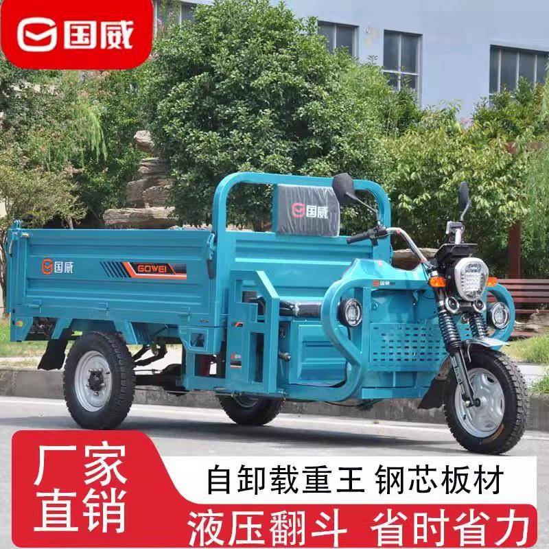 自卸斗电动三轮车拉货自卸载货家用农王用爬车坡王翻电瓶984厂家