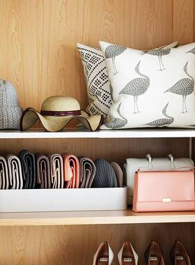 衣柜置隔REI板分层架伸柜缩衣服子物架收纳衣橱隔断分割分格护金