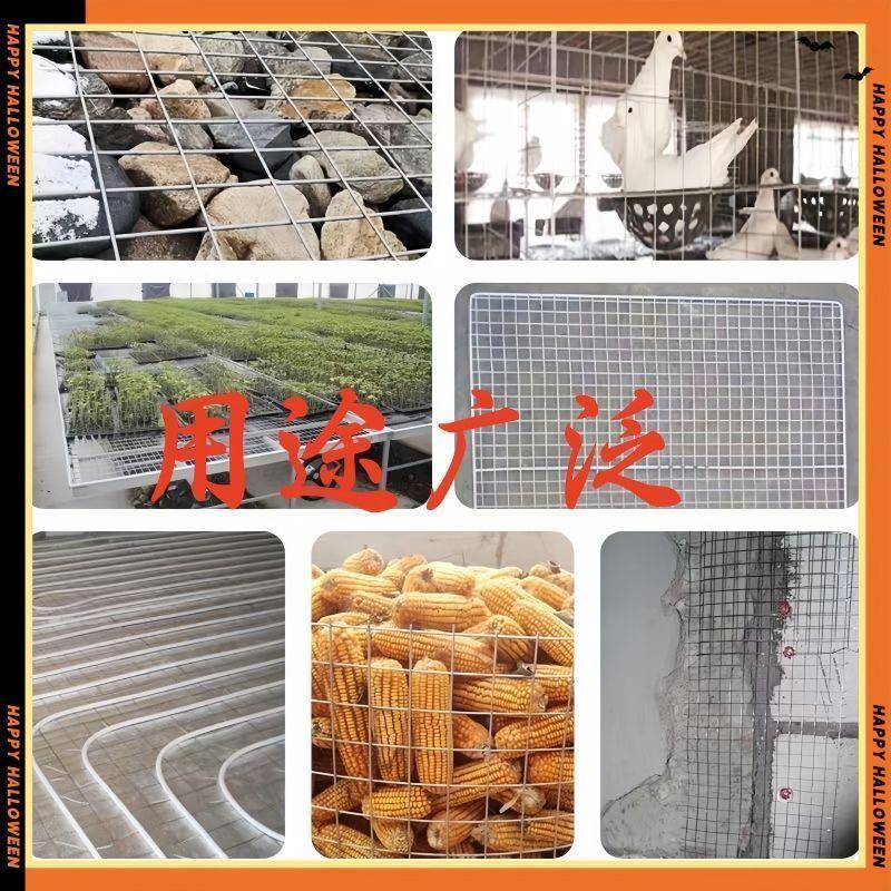 镀锌丝焊网建筑网格养殖隔离网加粗加硬鸭钢丝围电栏养鸡无品牌防