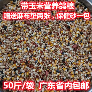 带玉米营养鸽粮 鸽子粮50斤 鸽粮广东包邮 鸟食信鸽肉鸽饲料