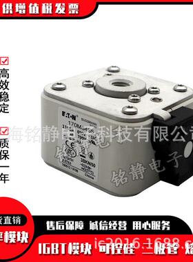 170M6314170M6315170M6316170M6317巴斯曼熔断器现货170M6318