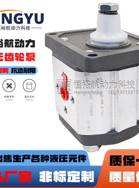 阿托斯液压泵ATOS齿轮泵PFG-174-D-ROPFG-340PFG-327-D液压油泵