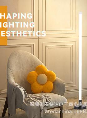 客厅沙发旁简约LED落地灯直插式婚庆摄影创意补光氛围七彩遥控灯