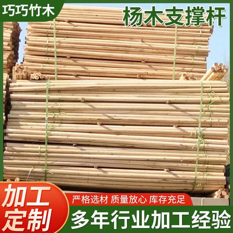 松木支树杆果树木支撑杨木支撑杆供应园林绿化苗木支撑杆
