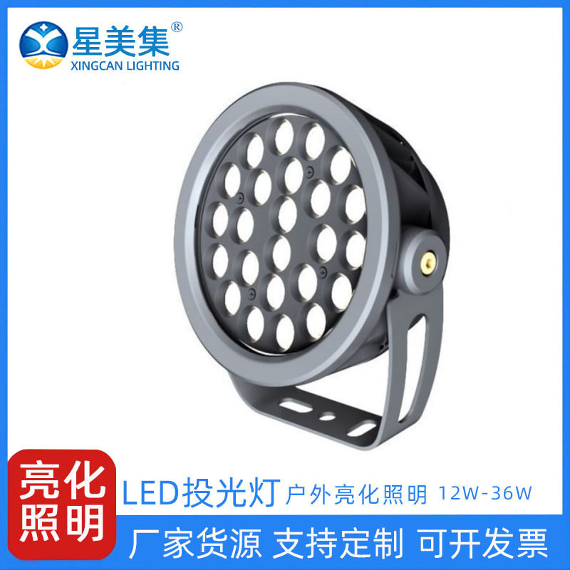 植物园别墅公园园林户外防水景观园林12W24W36WLED圆形投光灯