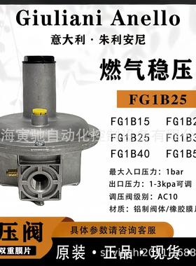 朱利安尼FG1B25稳压阀减压阀FG1B32燃烧器锅炉气体稳压阀调压阀