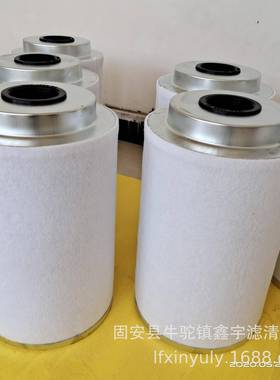 现货供应EMF20真空泵油雾过滤器滤芯A22304077/A22304199