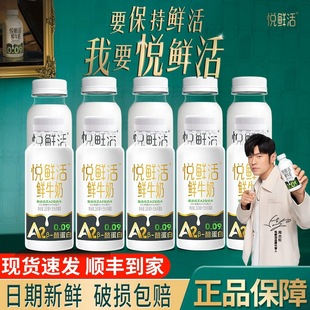 5瓶君乐宝悦鲜活鲜牛奶装 A2型260ml 营养早餐奶低温奶 5瓶 260ml