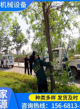 汽油动力高枝锯高杆锯高枝油锯果子修剪高空锯园林绿化锯树枝3米