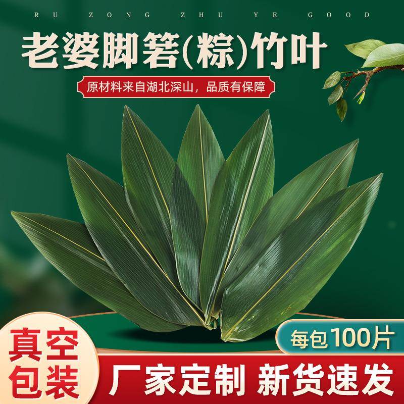 老婆脚箬(粽)竹叶日式餐厅摆盘装饰粽子叶新鲜真空包装粽叶