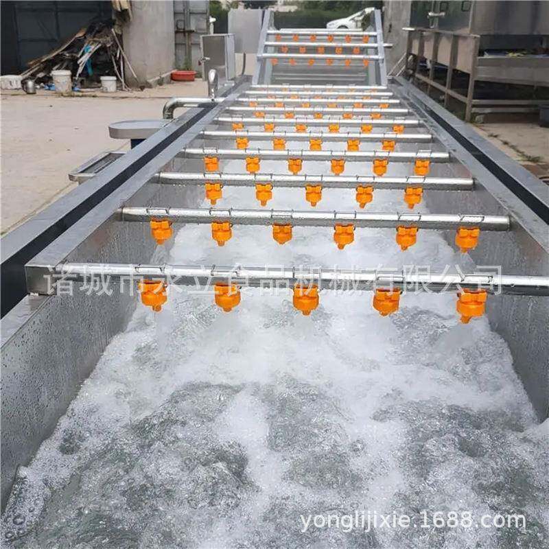 全自动水果蔬菜鼓泡翻浪清洗设备龙虾菠萝蓝莓清洗流水线洗菜机