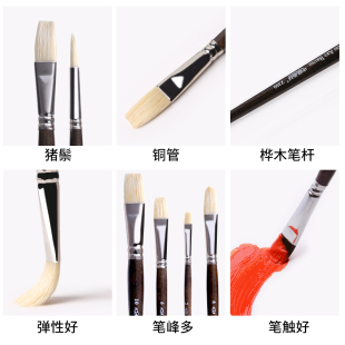 中盛画材 画家适用于油画笔丙烯 Z300咖啡色短杆猪鬃10支套装