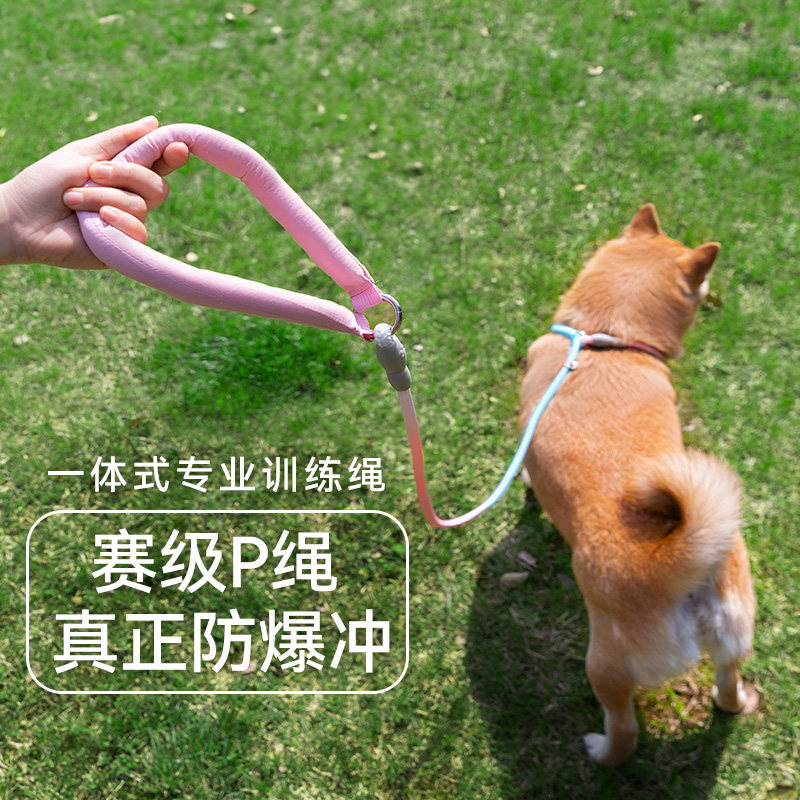 狗狗牵引绳梦幻渐变晕染P绳防爆冲训犬狗链中型犬牵引绳栓狗绳子,宠物/宠物食品及用品,狗牵引绳,淘宝优惠券,粉丝福利购,淘宝优惠卷