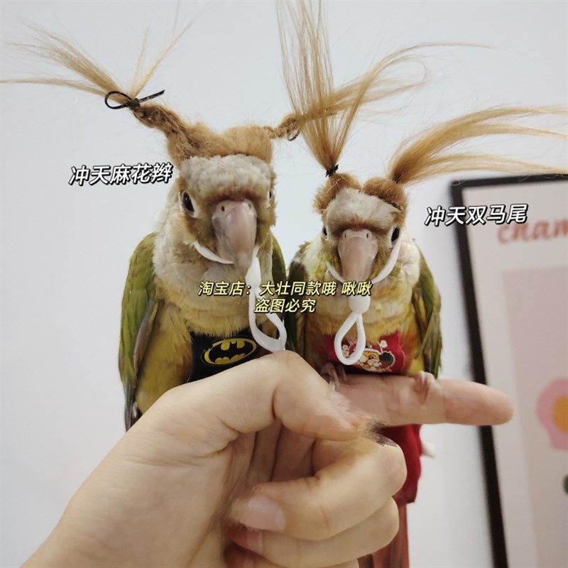 小鸟鹦鹉假发 虎皮玄凤牡丹鹦鹉鸟戴的帽子宠物小帽子头饰品头套,宠物/宠物食品及用品,其它服饰配件,淘宝优惠券,粉丝福利购,淘宝优惠卷