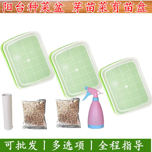 育苗盘芽苗菜阳台种菜盆水培蔬菜豆芽无土栽培育小麦蒜苗种植托盘