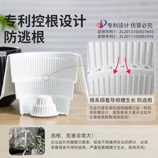 美莳蝴山料蝶兰用花盆控根透专气双层套盆塑树QLR脂水培水苔换盆