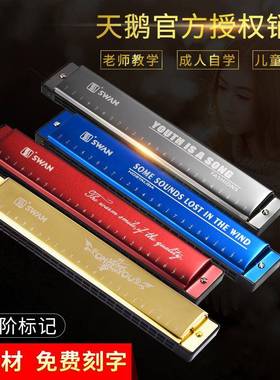 天鹅牌24孔复音C调黑/蓝/红色口琴带音符/音阶标记初学演奏乐器