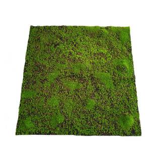 供应仿真青苔草皮人造草坪加密泡沫粒苔藓草皮盆景盆栽装饰